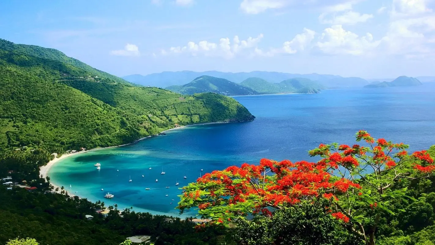 高性能绿色可靠性
